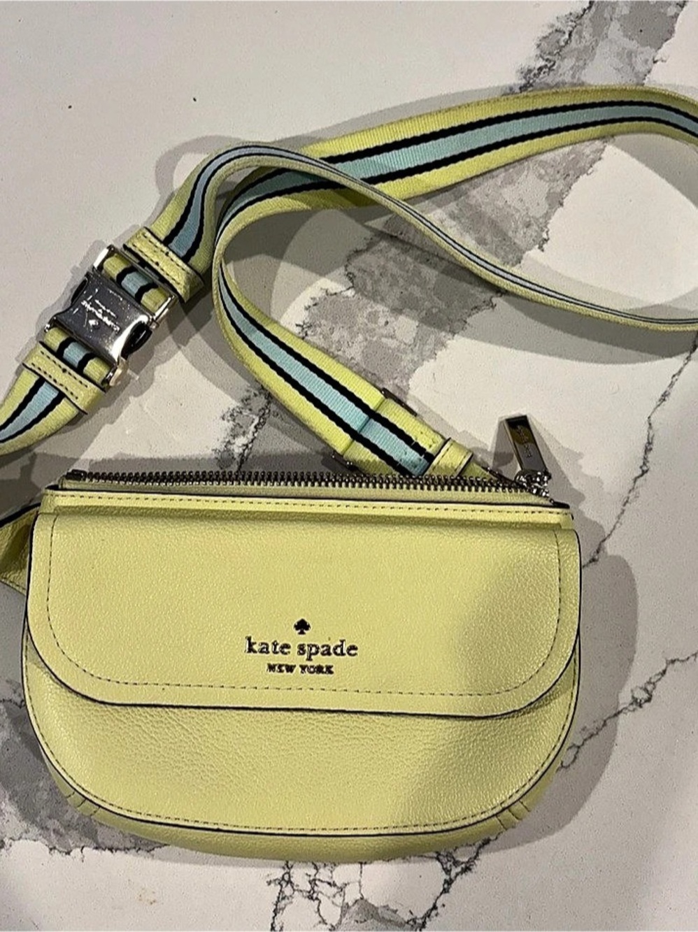 Kate Spade Striped Crossbody Bag in Melon (Bright Yellow) & Blue Accents